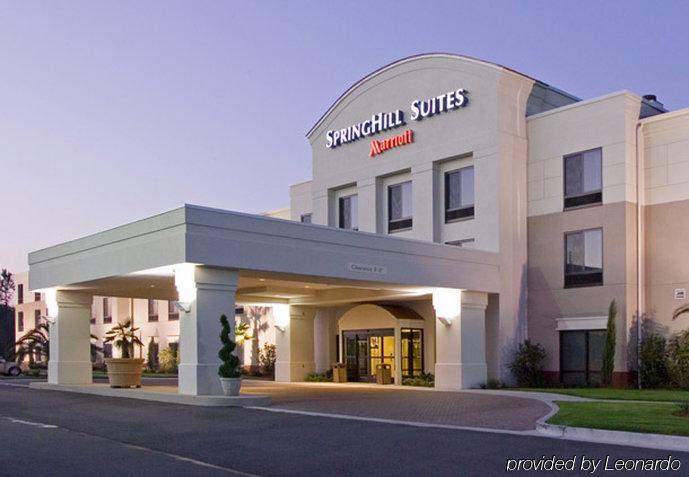 Springhill Suites By Marriott Corpus Christi Exteriör bild